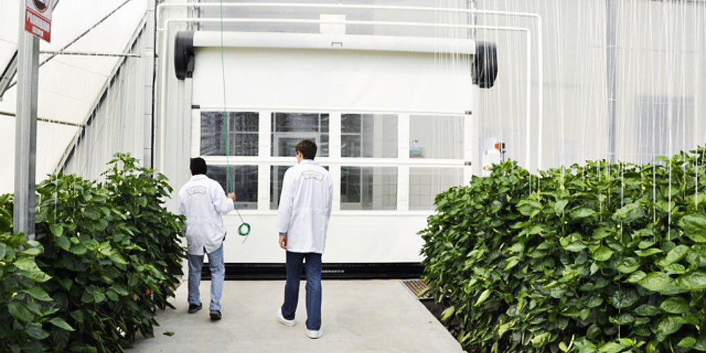 High speed doors for greenhouses